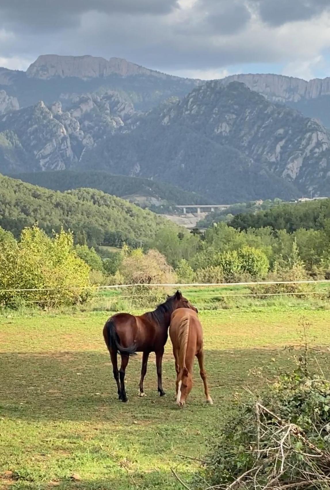 Alberg Rural Torre Del Baro San Lorenzo de Morunys Dış mekan fotoğraf